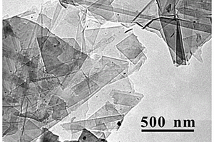 聚合物复合铋酸铜纳米片的制备方法