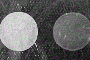 有机改性凹凸棒石共混陶瓷颗粒涂层商业聚烯烃类隔膜的制备方法