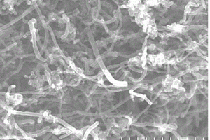 碳纳米管与炭黑的复合分散液及其制备方法