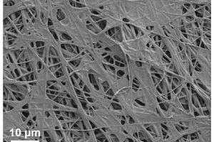 氮化硼纳米纤维复合固态电解质、制备方法及应用