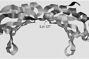 提高乙醇产率的酿酒酵母spt15定点饱和基因突变方法
