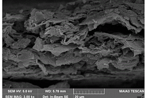 SiOx/碳纳米管/石墨烯复合膜及其制备方法