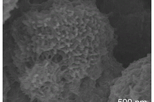 多层核壳结构二元钴镍金属氧化物包裹聚苯胺纳米复合材料及其制备方法和应用