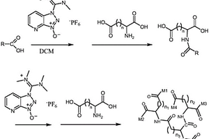 酰氨基多元羧酸/羟肟酸类化合物在矿物浮选中应用
