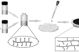 交联凝胶聚合物电解质的制备方法、电解质及其应用