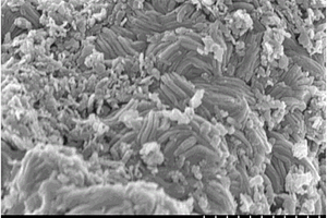 纳米短棒自组装四硫化三钒微米球的制备方法及应用