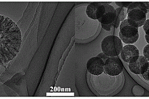 氮掺杂倒刺状碳纳米球/硫复合材料及其制备方法和应用