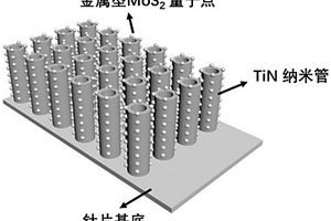 金属型二硫化钼量子点修饰的TiN纳米管阵列复合材料及其制备方法