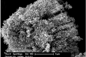 海胆状钒氧化物纳米材料的制备方法