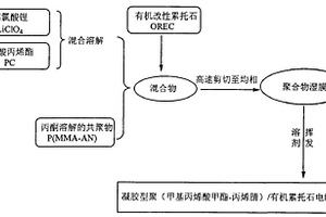 有机累托石改性复合凝胶型电解质及其制备方法