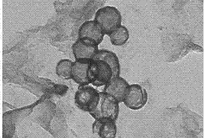 纳米磷酸铁空心球/石墨烯复合材料及其制备方法