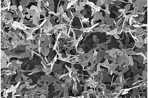 高纯度高密度MoO2层片状纳米结构的制备方法