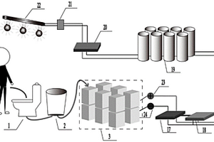尿液微生物燃料电池用于发电照明的装置