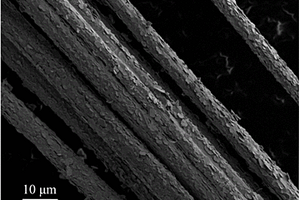 碳纤维@二硒化钨纳米片核壳复合结构及其制备方法