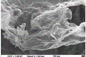 氮掺杂石墨烯-碳纳米角复合材料的制备及应用