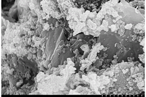 三维层状硼掺杂碳化钛及其制备方法和应用
