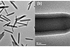 铁酸镍金属有机框架衍生物纳米材料及其制备方法与应用