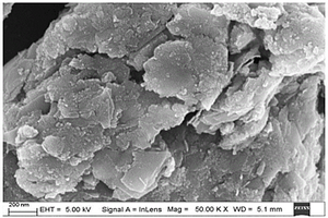 四氧化三钴掺杂碳包覆二氧化锡复合材料及其制备方法与应用