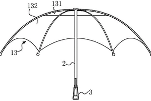 具有发热功能的伞