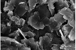 复合凝胶聚合物电解质、其制备方法和应用