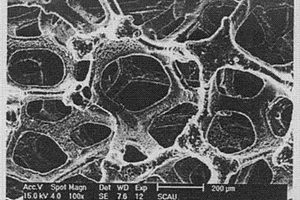 泡沫铝在制备化学电源中的应用