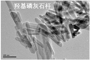 有机无机纳米复合材料电池隔膜的制备方法