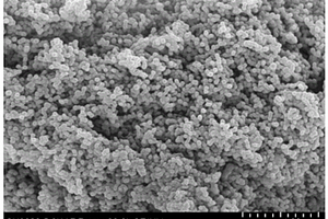 氮硫硼共掺杂碳气凝胶基硫复合材料及其制备方法和应用