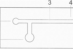 用于微气泡分离的微流控芯片