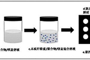 聚乙二醇/甲基纤维素复合电解质的制备方法及应用