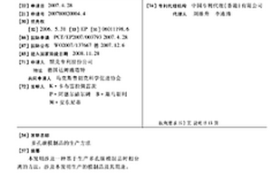 多孔碳模制品的生产方法