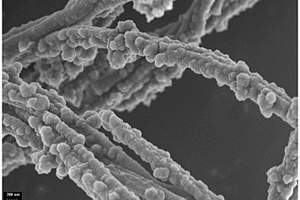 硫-氮掺杂空心碳纳米管复合材料及其制备方法和应用