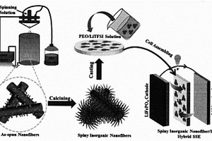 刺状无机纳米纤维复合全固态电解质的制备方法