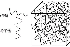 互穿网络结构层和原位制备的方法及其应用