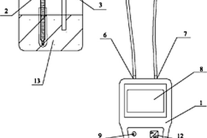 手持式双电极氯离子含量测定仪