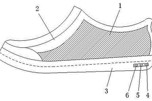 可变换图案的鞋
