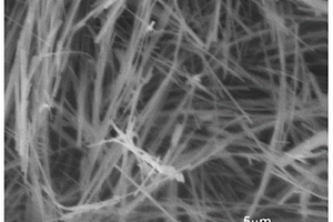 银铜钒氧化合物纳米材料及其制备方法和应用