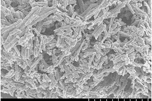 碳化钼硫复合材料及其制备方法与应用