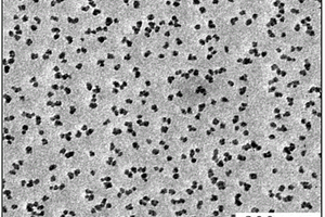 单分散、小尺寸的二氧化硅纳米粒子的制备方法