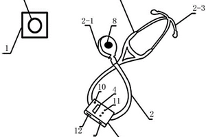 模拟心肺听诊装置