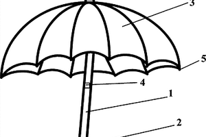 安全防卫雨伞发明
