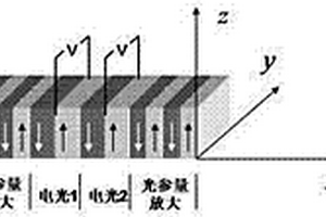 具有偏振无关光参量放大特性的矢量光束放大与产生器件