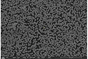碳素材料辅助快离子导体修饰贫钴三元正极材料