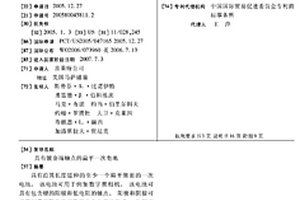 具有镀金端触点的扁平一次电池