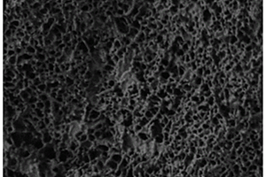 聚丙烯微孔膜及其制备方法和应用