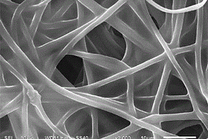 纳米复合纤维增强凝胶聚合物电解质及其制备方法