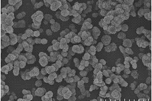 可控合成不同晶型杨梅状二氧化钛纳米材料的方法