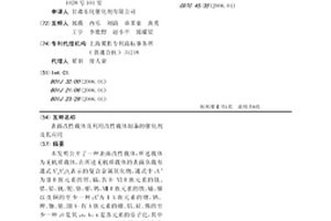 表面改性载体及利用改性载体制备的催化剂及其应用