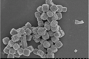 钙钛矿SrTiO3多孔纳米颗粒的制备方法及产物