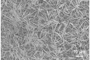 多孔氮化铜纳米线阵列及其制备方法与应用