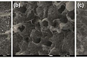 多孔碳/碳纳米管复合材料及其制备方法和应用